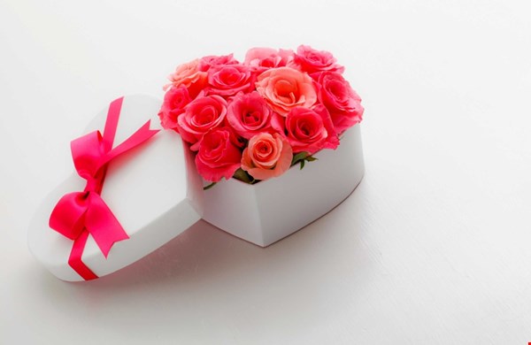 Waarom longlife rozen een blijvende indruk maken Waarom longlife rozen een blijvende indruk maken